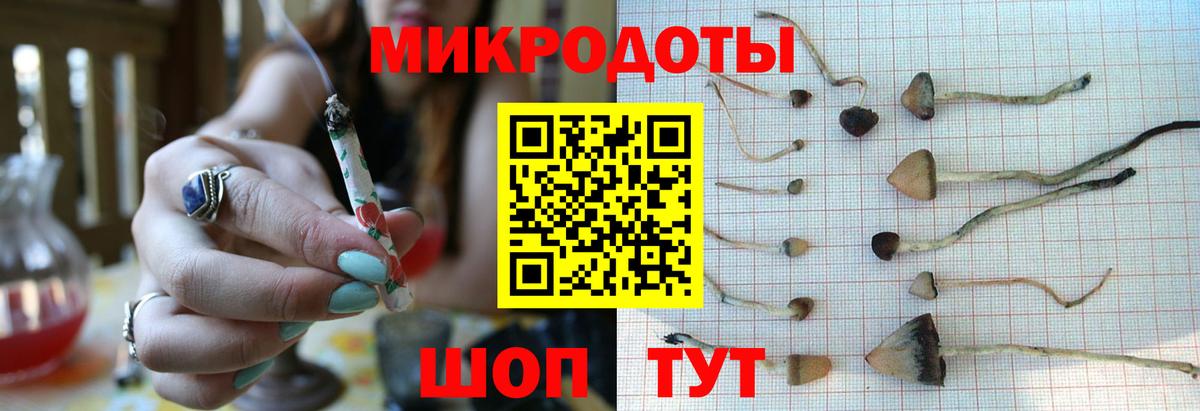 Псилоцибиновые грибы ЛСД Богданович