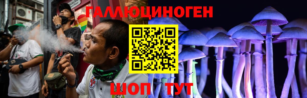 Псилоцибиновые грибы мицелий  Псилоцибиновые грибы Psilocybe  Богданович  Вход с VPN 